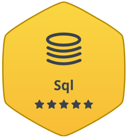 Badge 3